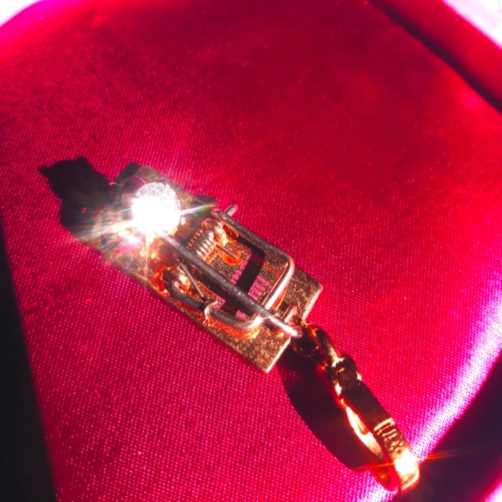 Juicy Couture mouse trap